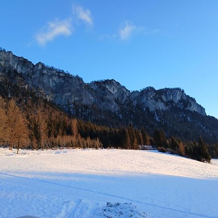 Ferienwohnung Maurerhof Sankt Johann in Tirol Ngoại thất bức ảnh