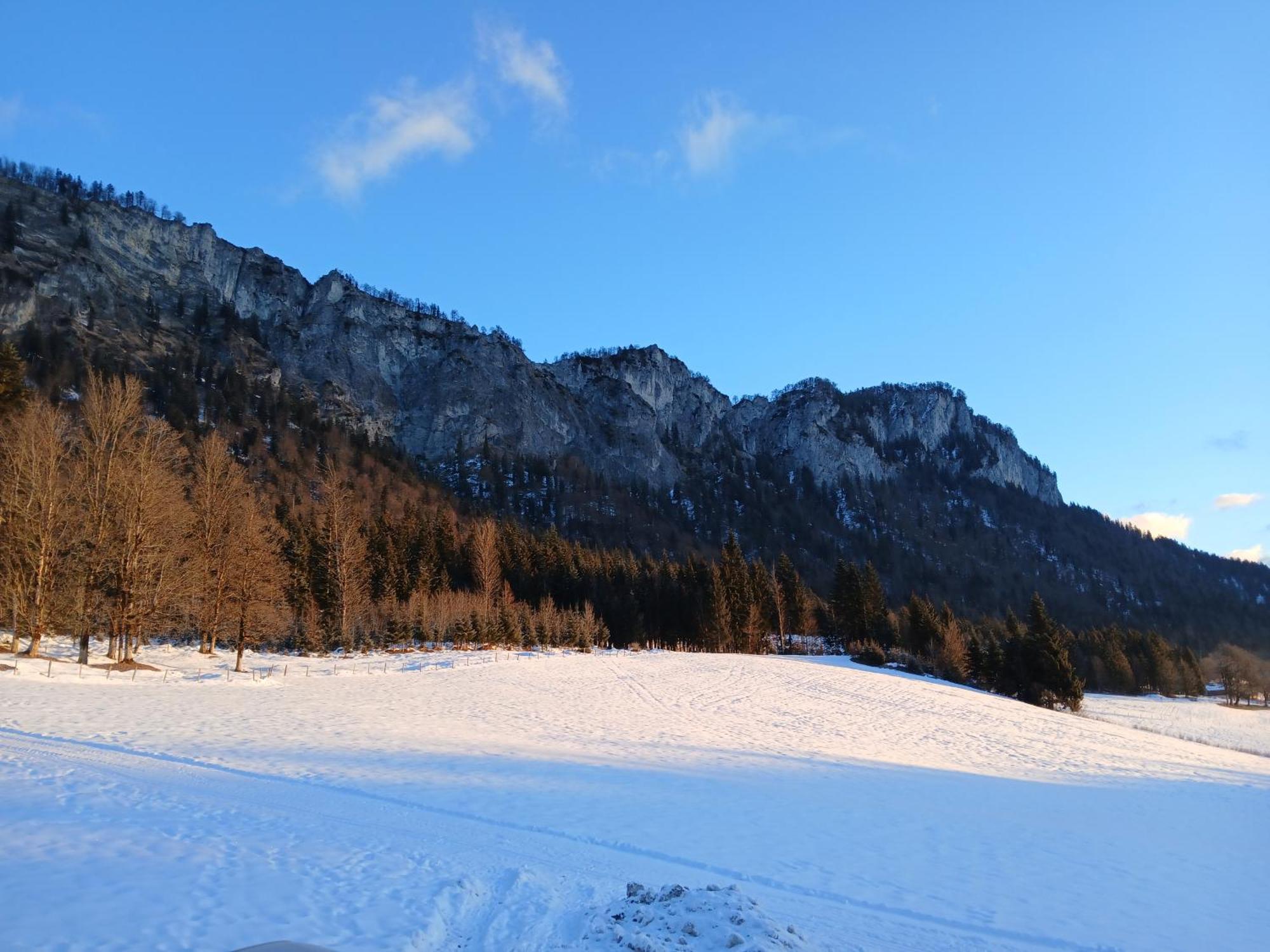 Ferienwohnung Maurerhof Sankt Johann in Tirol Ngoại thất bức ảnh