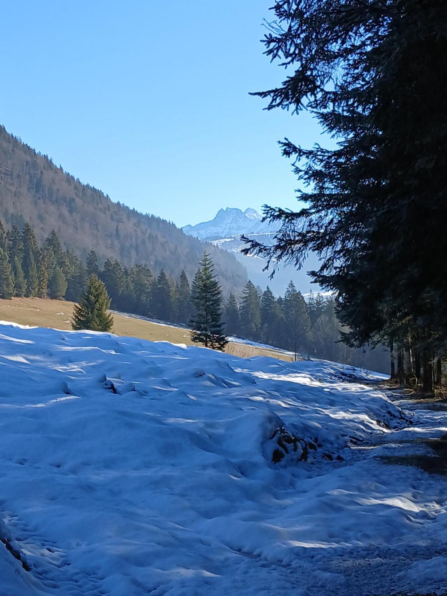 Ferienwohnung Maurerhof Sankt Johann in Tirol Ngoại thất bức ảnh